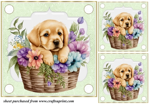 3 Green floral pup in basket card front/toppers 9