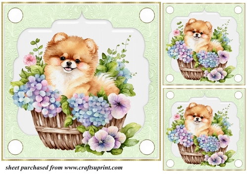 3 Green floral pup in basket card front/toppers 11