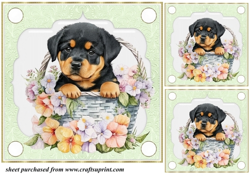 3 Green floral pup in basket card front/toppers 12