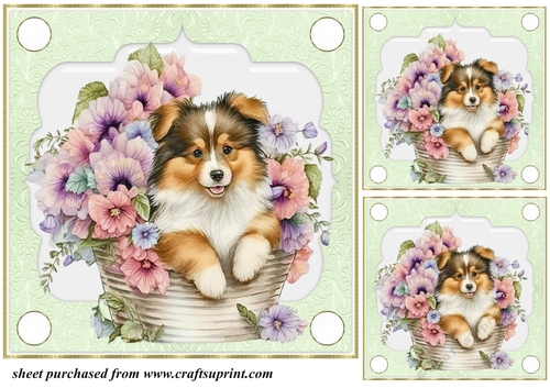 3 Green floral pup in basket card front/toppers 13