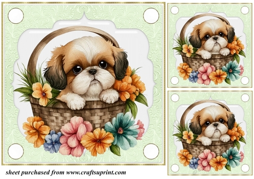 3 Green floral pup in basket card front/toppers 14