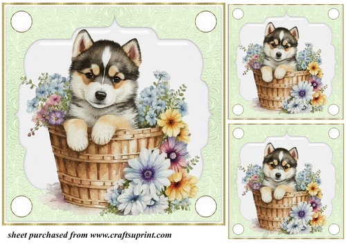 3 Green floral pup in basket card front/toppers 15