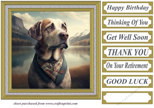 Handsome dog card front 2