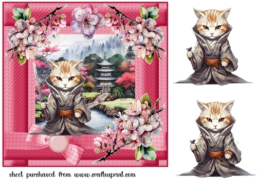 Pink Samurai cat card front 2