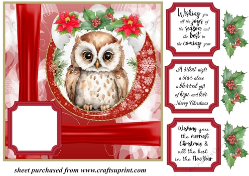 Red Christmas owl card front 2