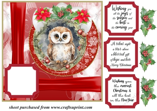 Red Christmas owl card front 3