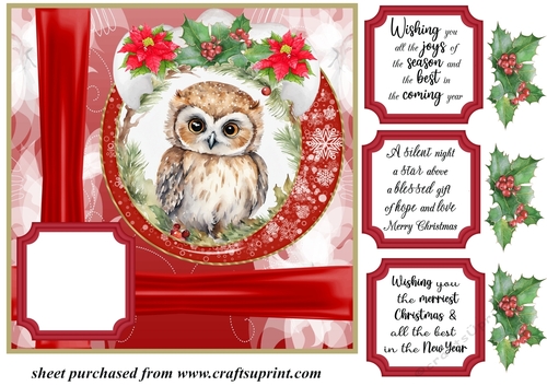 Red Christmas owl card front 4