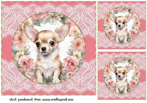 3 Floral Chihuahua card front/toppers 2