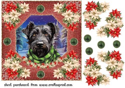Poinsettia Scottish terrier card front 2