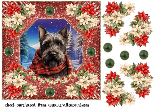 Poinsettia Scottish terrier card front 3