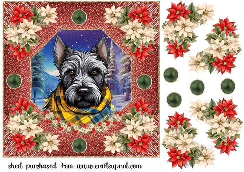 Poinsettia Scottish terrier card front 4