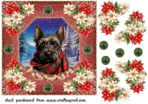 Poinsettia Scottish terrier card front 5