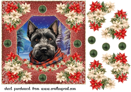 Poinsettia Scottish terrier card front 6