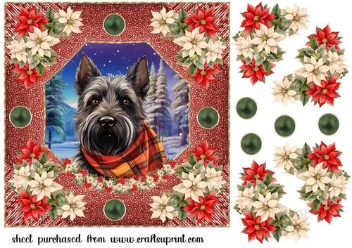 Poinsettia Scottish terrier card front 7