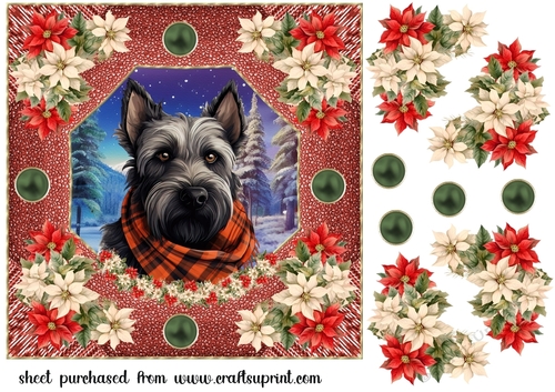Poinsettia Scottish terrier card front 8