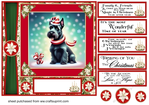 Holly and berries Christmas Scottish terrier card front 3