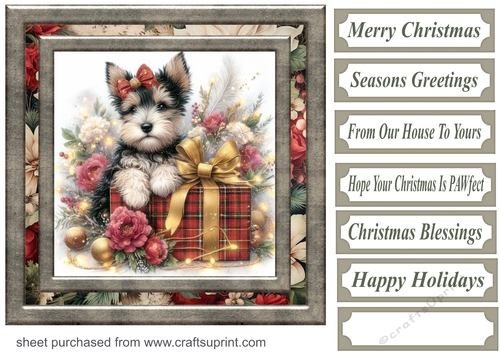 Christmas present pup card front 5