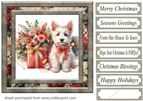 Christmas present pup card front 6