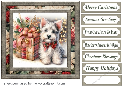 Christmas present pup card front 11