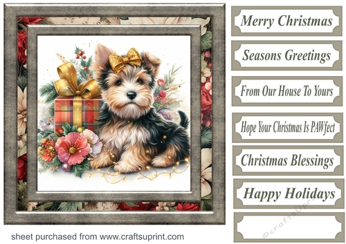 Christmas present pup card front 12
