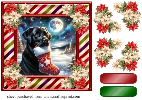 Black Labrador Christmas card front 2
