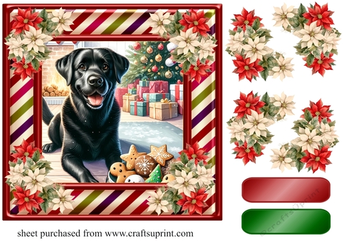Black Labrador Christmas card front 5