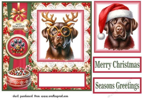 Christmas chocolate Labrador card front 1