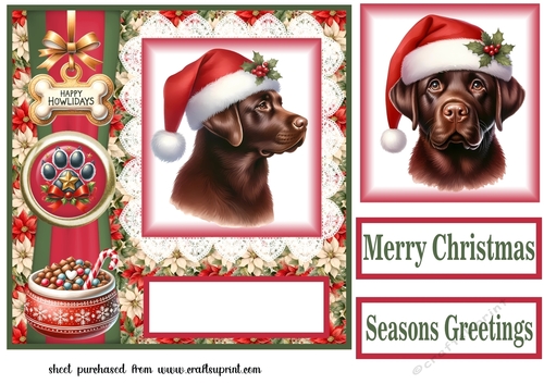 Christmas chocolate Labrador card front 2