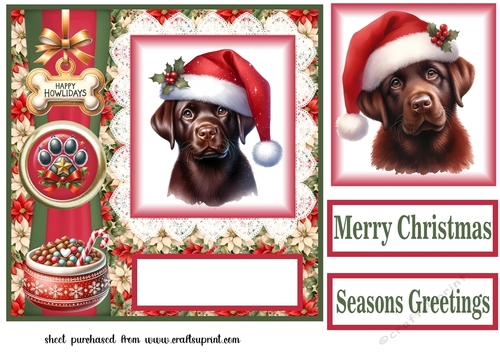 Christmas chocolate Labrador card front 3