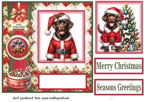 Christmas chocolate Labrador card front 4