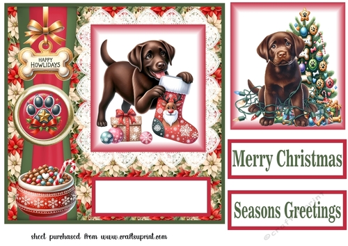 Christmas chocolate Labrador card front 5