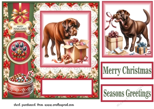 Christmas chocolate Labrador card front 6