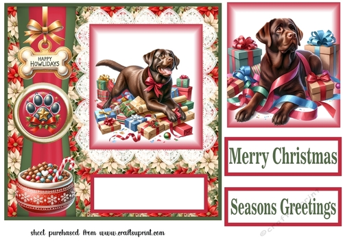 Christmas chocolate Labrador card front 7