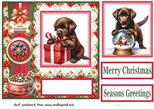 Christmas chocolate Labrador card front 8