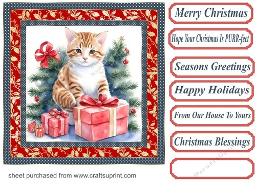 Holly Christmas kitty card front 1