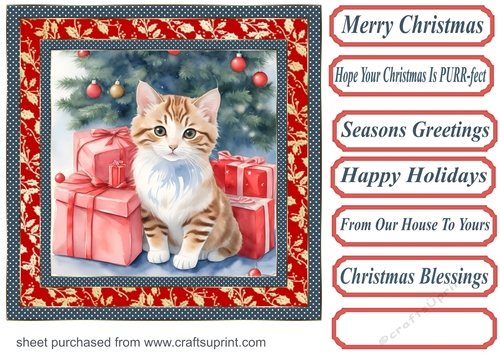 Holly Christmas kitty card front 4