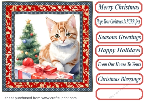 Holly Christmas kitty card front 5