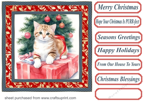 Holly Christmas kitty card front 6