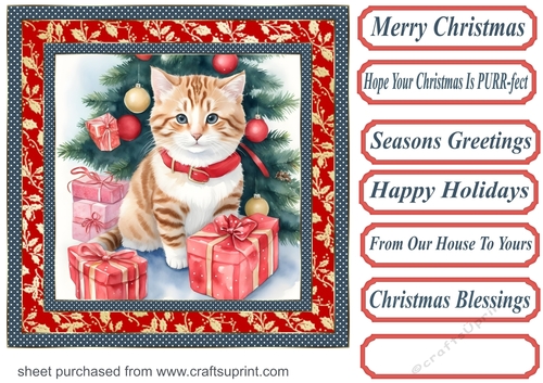 Holly Christmas kitty card front 7