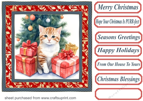 Holly Christmas kitty card front 8