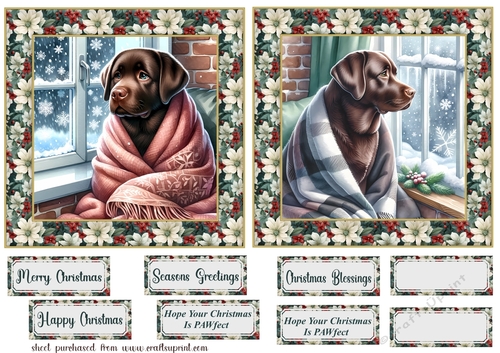 2 6x6 aprox Christmas Chocolate Labrador card fronts 1