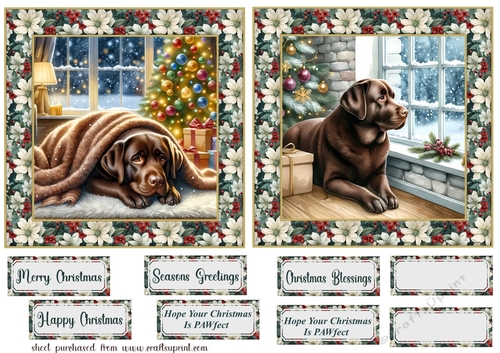 2 6x6 aprox Christmas Chocolate Labrador card fronts 2