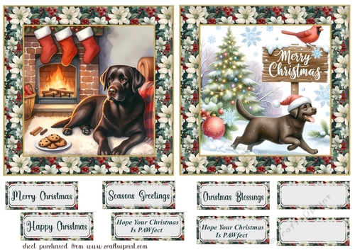 2 6x6 aprox Christmas Chocolate Labrador card fronts 3