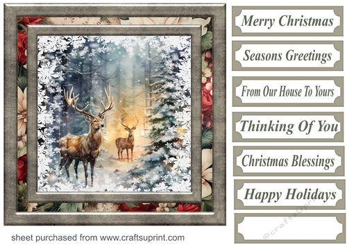 Snowflake reindeer card front 5