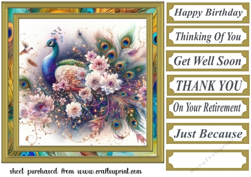 Floral peacock card front 6