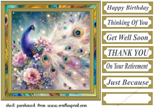 Floral peacock card front 9