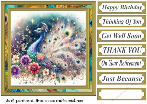 Floral peacock card front 11
