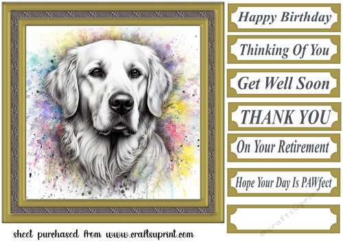 Paint splash Retriever card front 11