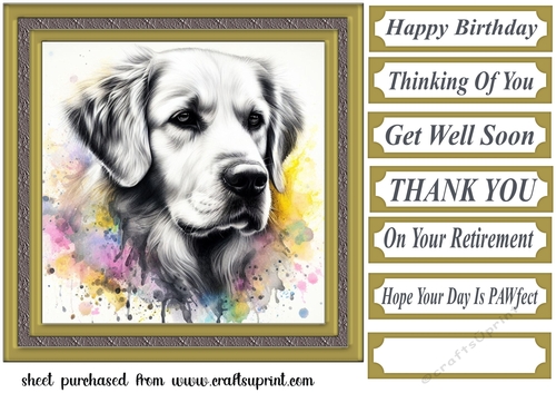 Paint splash Retriever card front 12