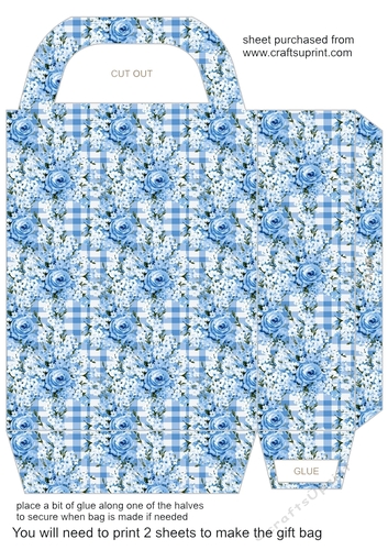 Blue gingham floral gift bag 1